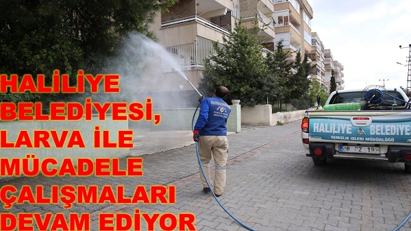 HALİLİYE BELEDİYESİ, LARVA İLE MÜCADELE ÇALIŞMALARI DEVAM EDİYOR