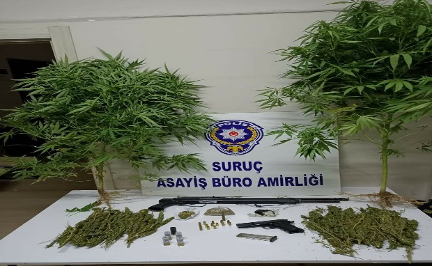 SURUÇ'TA UYUŞTURUCU OPERASYONU