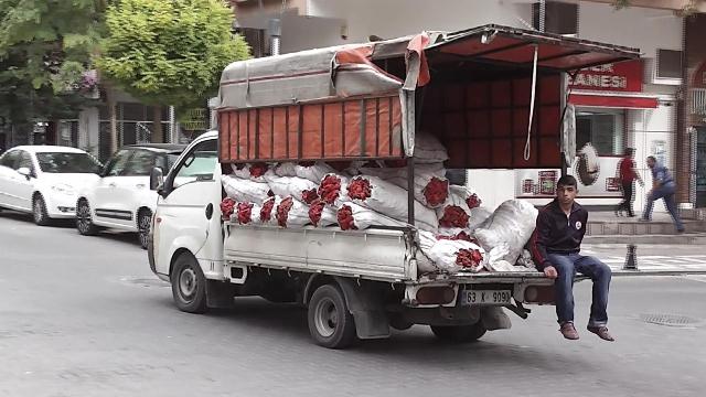 Başka Yerde Süt Bizde İsot Böyle Satılıyor