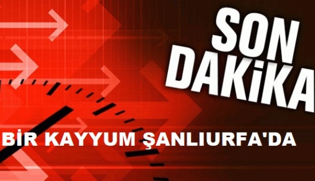 BİR KAYYUM KARARI DA ŞANLIURFA İÇİN