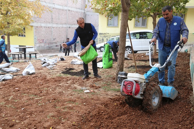 DAHA YEŞİL BİR HALİLİYE İÇİN ÇALIŞMALAR SÜRÜYOR