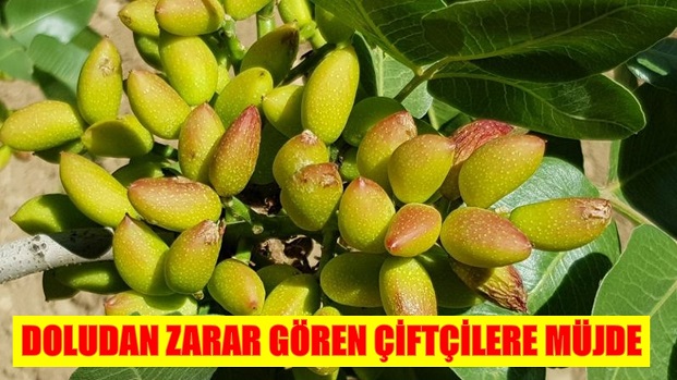 DOLUDAN ZARAR GÖREN ÇİFTÇİLERE MÜJDE